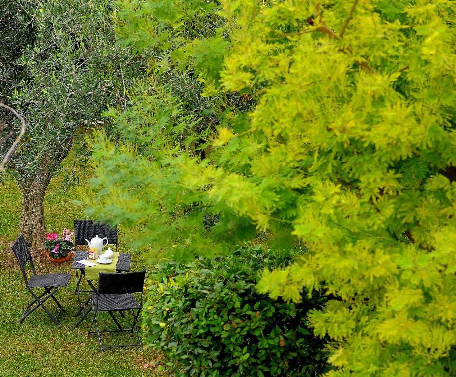 Hotel Il Giardino Del Te Barletta Exterior foto
