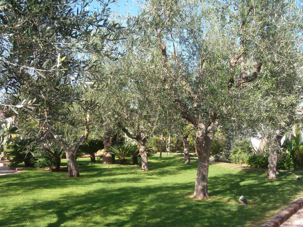 Hotel Il Giardino Del Te Barletta Exterior foto