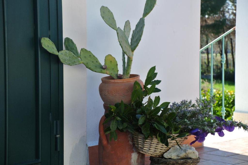 Hotel Il Giardino Del Te Barletta Habitación foto