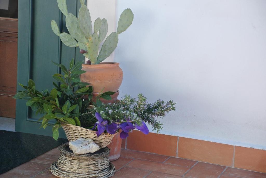 Hotel Il Giardino Del Te Barletta Exterior foto